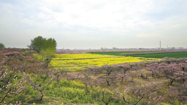 人勤春早 田野如畫(huà)