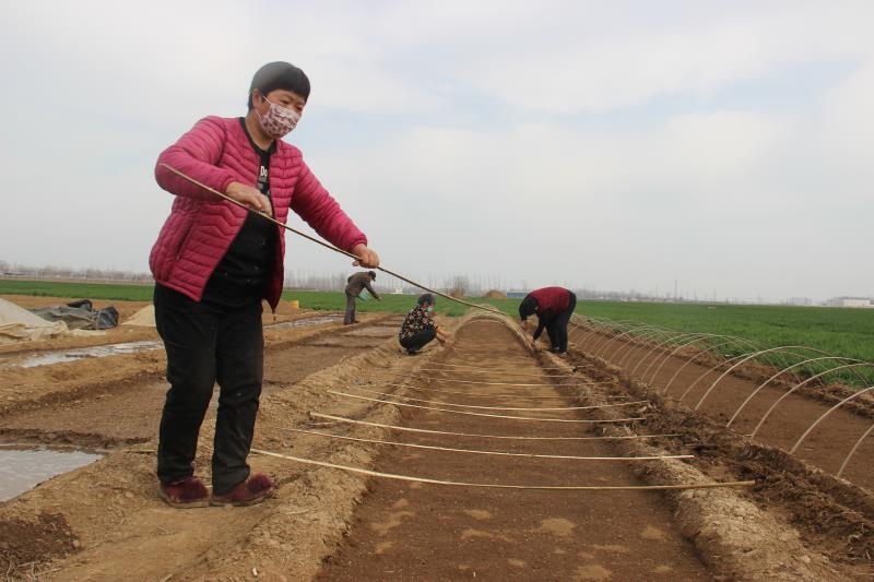 疫情防控、春耕生產(chǎn)兩手抓