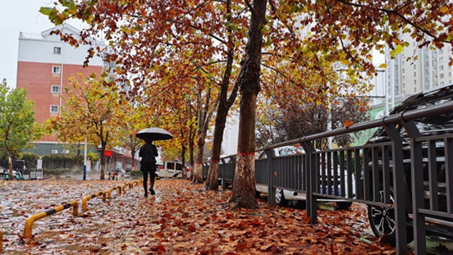 雨中周口，別有一番韻味