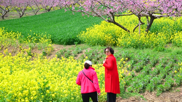 西華縣黃橋鄉(xiāng)農旅興促旺鄉(xiāng)村經(jīng)濟