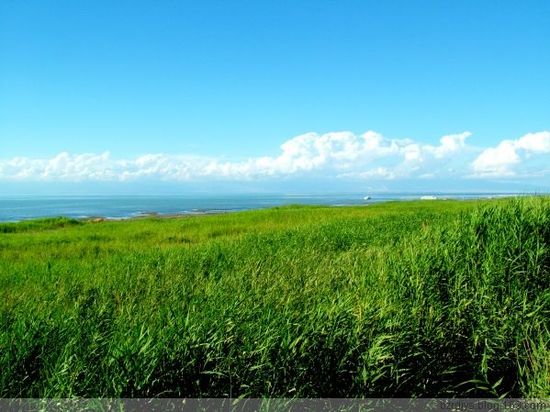 領略西域旅游景點中的“四大美人”